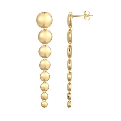 Orecchini in argento
