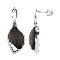 Orecchini in argento con Quercia Nera