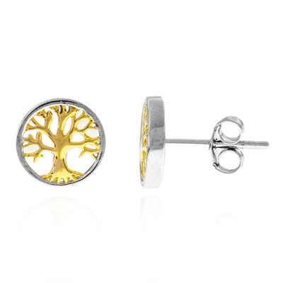 Orecchini in argento