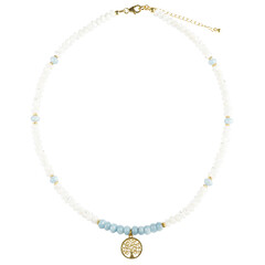 Collana in argento con Acquamarina
