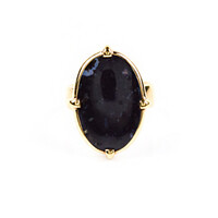 Anello in argento con Legno di Palma Pietrificato