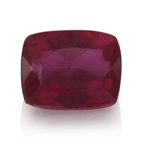 Gemma con Rubellite