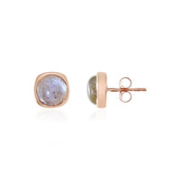 Orecchini in argento con Labradorite