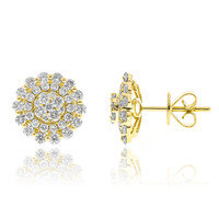 Orecchini in oro con Diamante I1 (H) (CIRARI)