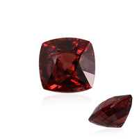 Gemma con Zircone Rosa