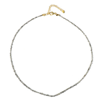 Collana in argento con Diamante Color Argento