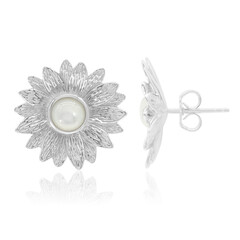 Orecchini in argento con Madreperla