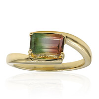 Anello in oro con Tormalina Bicolore