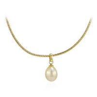 Collana in argento con Perla Dorata dei Mari del Sud Kabira (TPC)