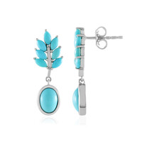 Orecchini in argento con Turchese Sleeping Beauty