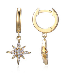 Orecchini in argento con Zircone