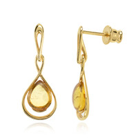 Orecchini in argento con Ambra Baltica