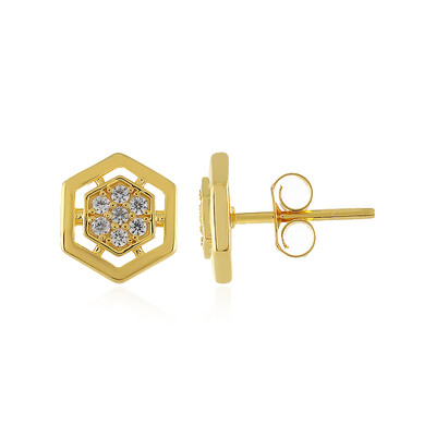Orecchini in argento con Zircone