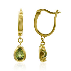 Orecchini in argento con Peridoto
