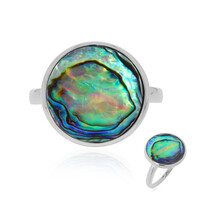 Anello in argento con Conchiglia Abalone