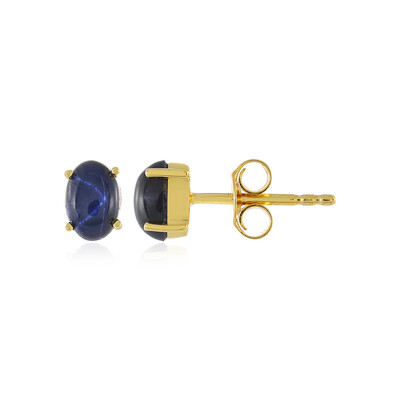 Orecchini in argento con Zaffiro Stellato Blu
