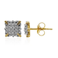 Orecchini in argento con Diamante PK (I)