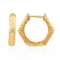 Orecchini in argento (TPC)