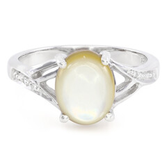 Anello in argento con Conchiglia Abalone