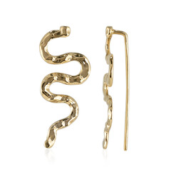 Orecchini in argento
