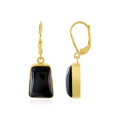 Orecchini in argento con Onice Nero