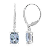 Orecchini in oro con Tanzanite (non riscaldata) (CIRARI)