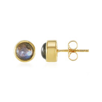 Orecchini in argento con Labradorite
