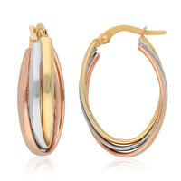 Orecchini in oro