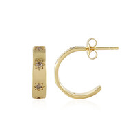 Orecchini in argento con Diamante Cioccolato I2