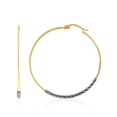 Orecchini in argento