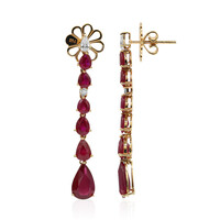 Orecchini in oro con Rubino della Birmania (Estée Collection)
