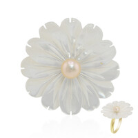 Anello in argento con Madreperla (TPC)