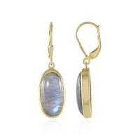 Orecchini in argento con Labradorite