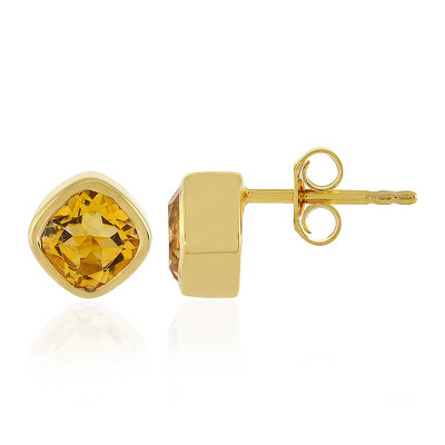 Orecchini in argento con Citrino (MONOSONO COLLECTION)