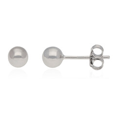Orecchini in argento