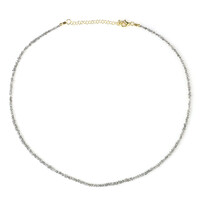 Collana in argento con Diamante Color Argento