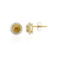 Orecchini in argento con Zircone Giallo