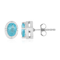 Orecchini in argento con Apatite Blu