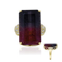 Anello in oro con Tormalina Bicolore (AMAYANI)