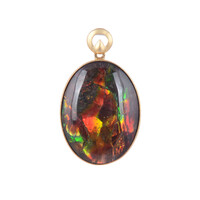 Ciondolo in oro con Ammolite