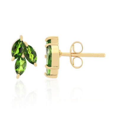 Orecchini in argento con Diopside Russo
