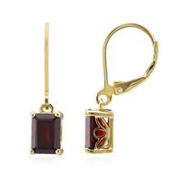 Orecchini in argento con Granato