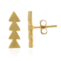 Orecchini in argento
