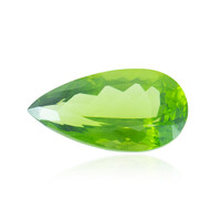 Peridoto della Birmania 15,69 ct