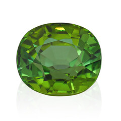 Gemma con Tormalina Verde 9,72 ct