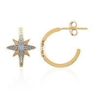 Orecchini in argento con Diamante I3 (I)