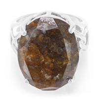 Anello in argento con Quarzo Dinosauro