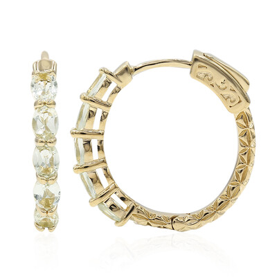 Orecchini in argento con Ametista Verde