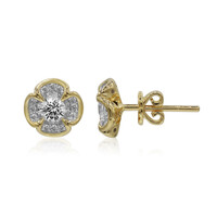 Orecchini in oro con Diamante SI1 (G)
