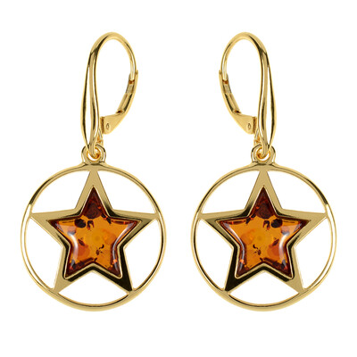 Orecchini in argento con Ambra Baltica (dagen)